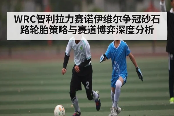 WRC智利拉力赛诺伊维尔争冠砂石路轮胎策略与赛道博弈深度分析