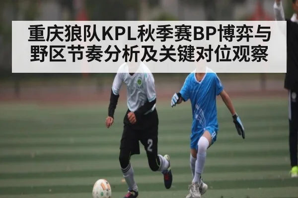 重庆狼队KPL秋季赛BP博弈与野区节奏分析及关键对位观察