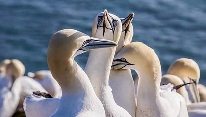 在线体育游戏娱乐平台-2021中超赛制确定打满30轮?多套方案肯定有降级